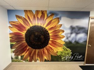 Read more about the article The Art of Transformation: Custom Murals by Louisiana Graphics