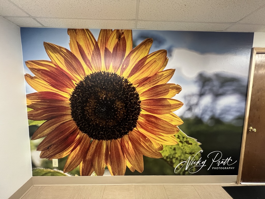 Read more about the article The Art of Transformation: Custom Murals by Louisiana Graphics