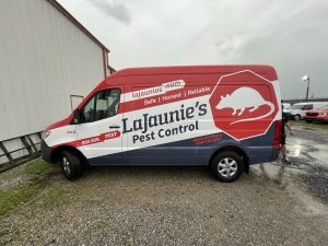 Read more about the article Louisiana Graphics Offers Custom Van Wraps for Enhanced Brand Visibility